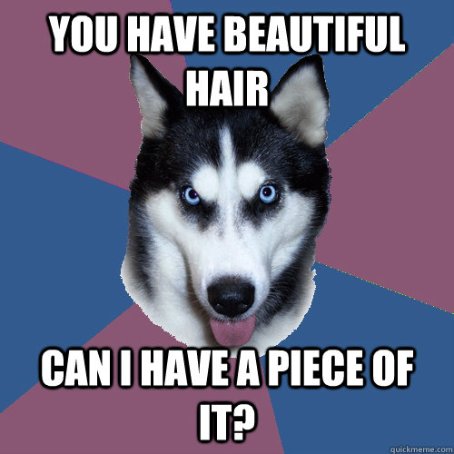 you have beautiful hair can I have a piece of it?  Creeper Canine