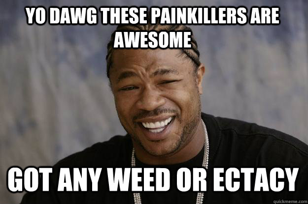 YO DAWG these painkillers are awesome got any weed or ectacy  Xzibit meme