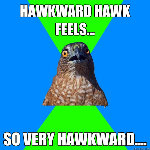 Hawkward Hawk feels... So very hawkward....  Hawkward