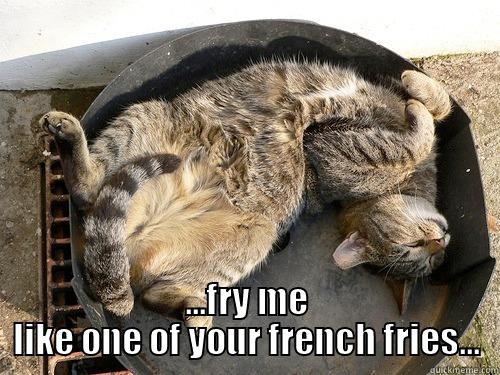 Cat in a frying pan -  ...FRY ME LIKE ONE OF YOUR FRENCH FRIES... Misc