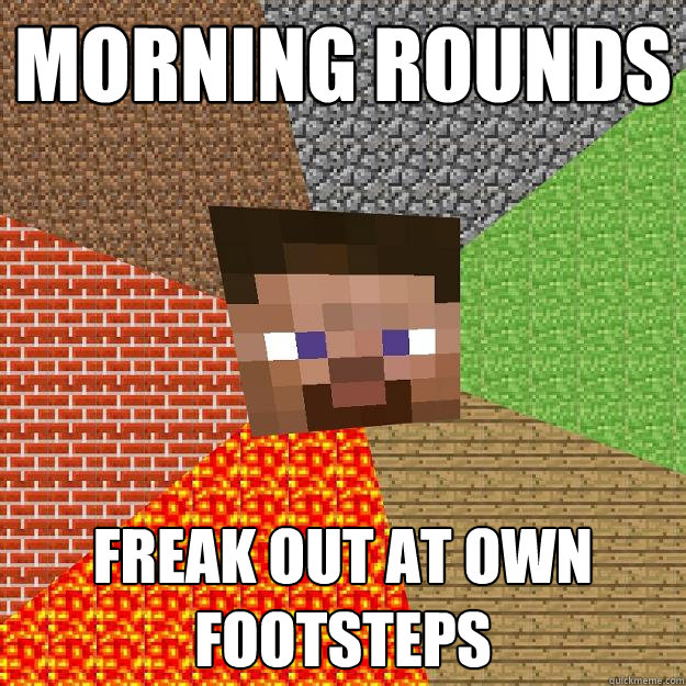 Morning rounds freak out at own footsteps - Morning rounds freak out at own footsteps  Minecraft