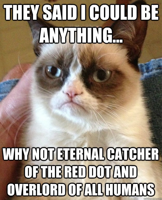 they said i could be anything... why not eternal catcher of the red dot and overlord of all humans  Grumpy Cat