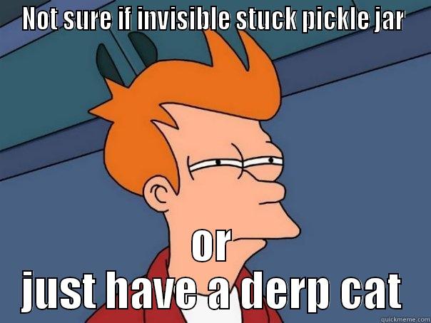 NOT SURE IF INVISIBLE STUCK PICKLE JAR OR JUST HAVE A DERP CAT Futurama Fry