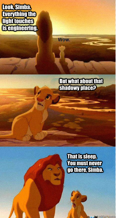 Look, Simba. Everything the light touches is engineering. But what about that shadowy place? That is sleep. You must never go there, Simba.  Mufasa and Simba