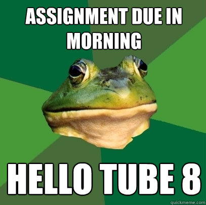 assignment due in morning hello tube 8  Foul Bachelor Frog