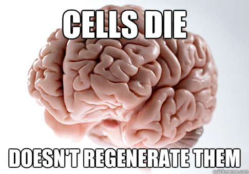 cells die doesn't regenerate them  Scumbag Brain