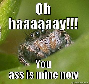 OH HAAAAAAY!!! YOU ASS IS MINE NOW Misunderstood Spider