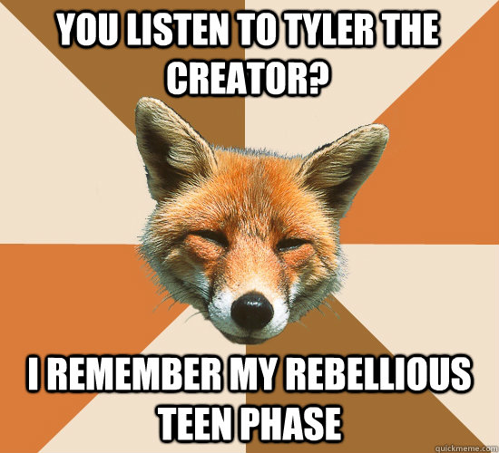 You listen to Tyler the creator? I remember my rebellious teen phase  Condescending Fox