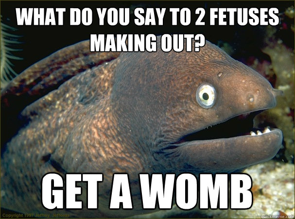 What do you say to 2 fetuses making out? get a womb - What do you say to 2 fetuses making out? get a womb  Bad Joke Eel