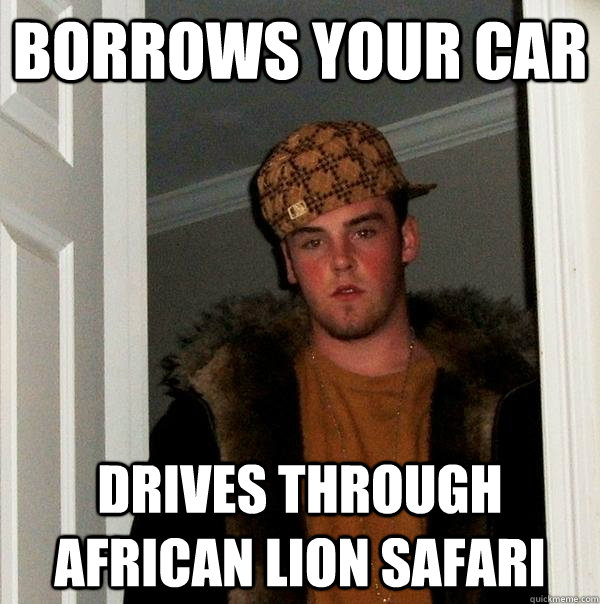 Borrows your car drives through african lion safari - Borrows your car drives through african lion safari  Scumbag Steve