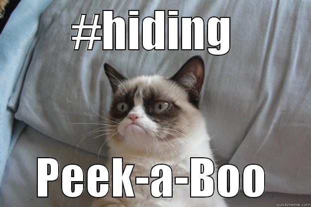 Hiding Grumpy - #HIDING PEEK-A-BOO Grumpy Cat