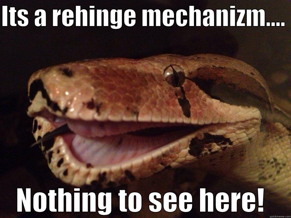 ITS A REHINGE MECHANIZM....  NOTHING TO SEE HERE!  Misc