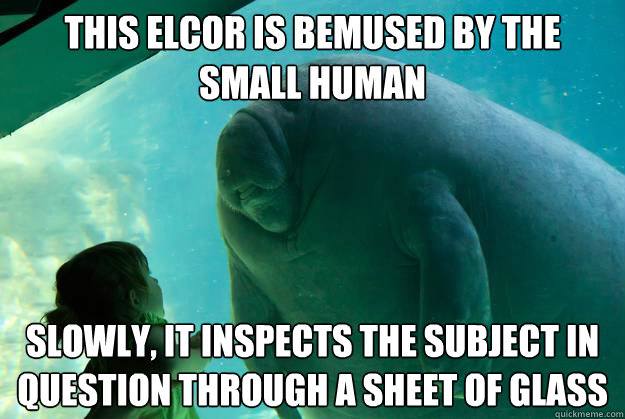 This elcor is bemused by the small human slowly, it inspects the subject in question through a sheet of glass  Overlord Manatee