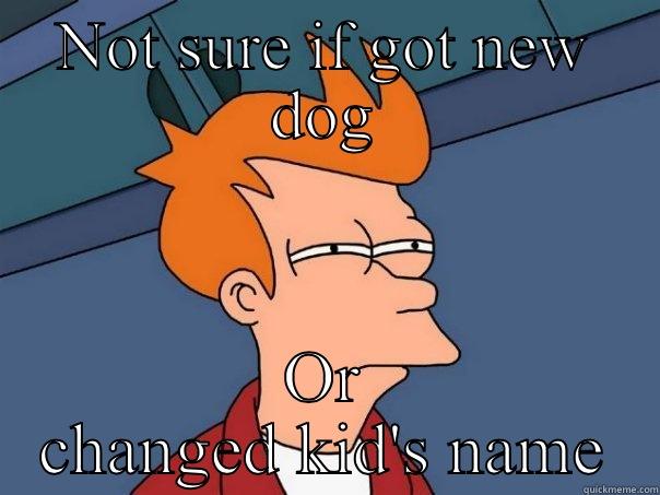 Not sure if got new dog - NOT SURE IF GOT NEW DOG OR CHANGED KID'S NAME Futurama Fry