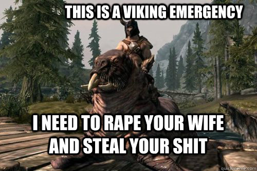 This is a viking emergency I need to rape your wife and steal your shit  robbaz quote