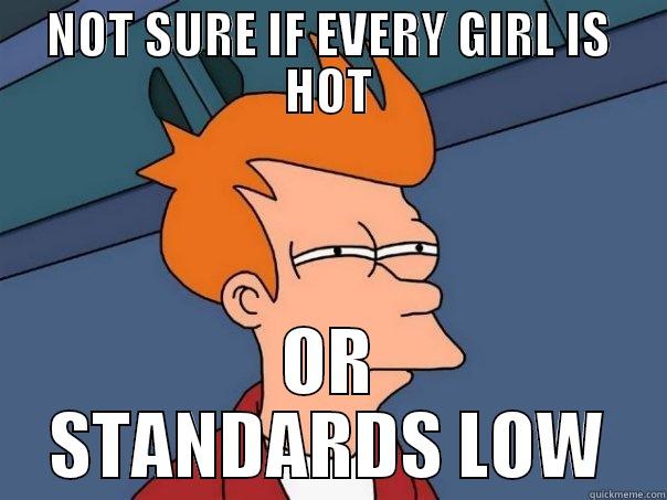 NOT SURE IF EVERY GIRL IS HOT OR STANDARDS LOW Futurama Fry