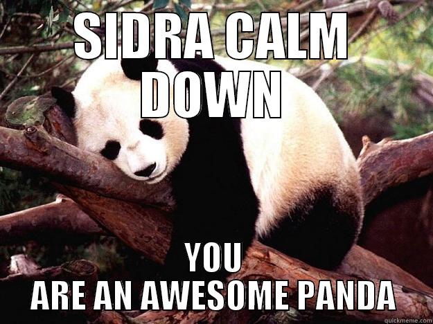 SIDRA CALM DOWN YOU ARE AN AWESOME PANDA Procrastination Panda