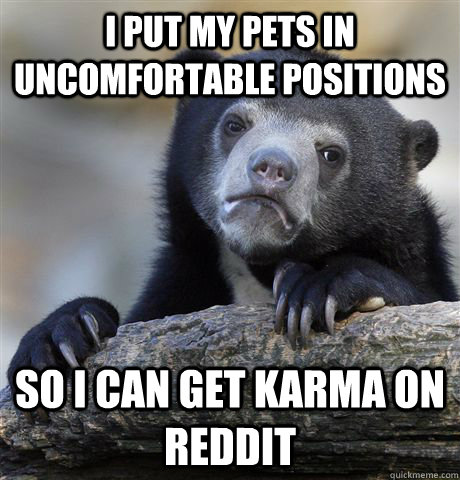 I put my pets in uncomfortable positions So I can get karma on reddit  Confession Bear