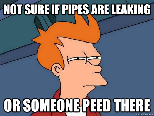 Not sure if pipes are leaking or someone peed there  Futurama Fry