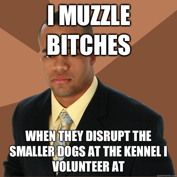 I muzzle bitches when they disrupt the smaller dogs at the kennel I volunteer at - I muzzle bitches when they disrupt the smaller dogs at the kennel I volunteer at  Successful Black Man