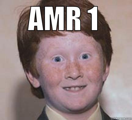 rfefeffefrerffr :))) - AMR 1  Over Confident Ginger