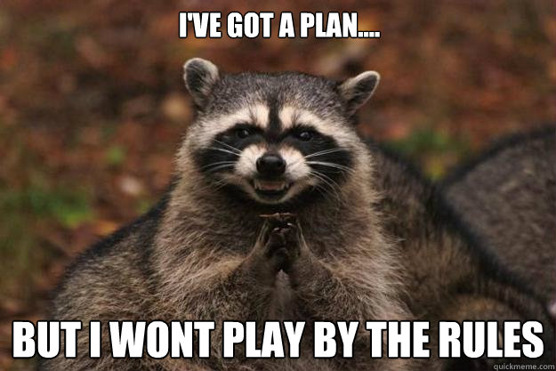 I've got a plan.... But i wont play by the rules  Evil Plotting Raccoon