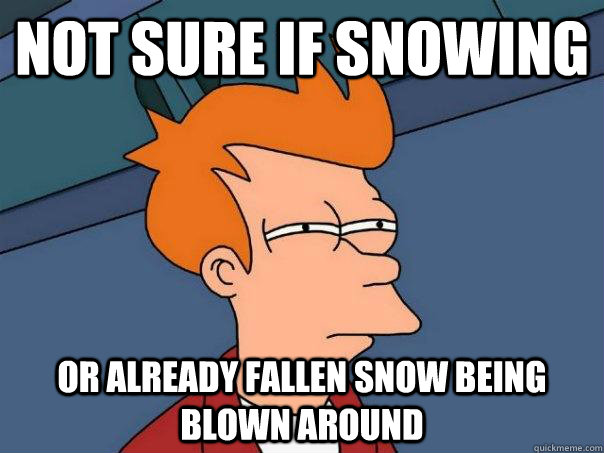 Not sure if snowing Or already fallen snow being blown around - Not sure if snowing Or already fallen snow being blown around  Futurama Fry