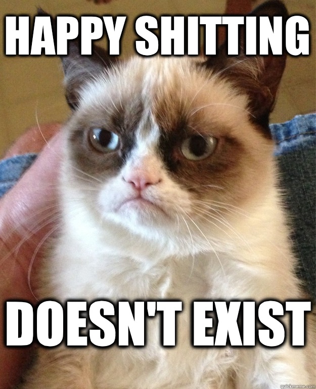 Happy shitting Doesn't exist  Grumpy Cat