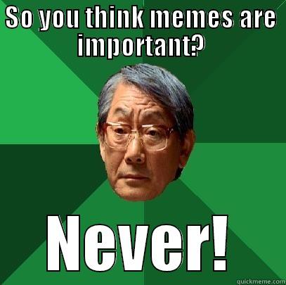 Are memes important? - SO YOU THINK MEMES ARE IMPORTANT? NEVER! High Expectations Asian Father