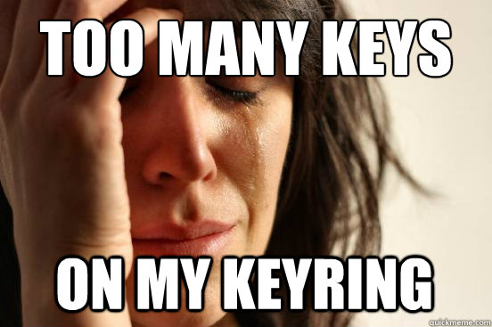 too many keys on my keyring  First World Problems