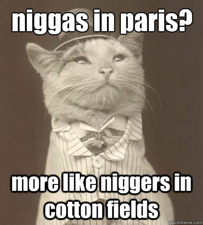 niggas in paris? more like niggers in cotton fields  Aristocat