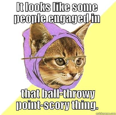 IT LOOKS LIKE SOME PEOPLE ENGAGED IN  THAT BALL-THROWY POINT-SCORY THING. Hipster Kitty