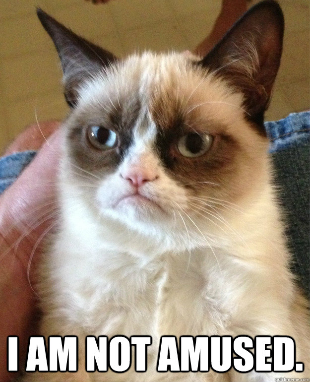  I am not amused.  Grumpy Cat