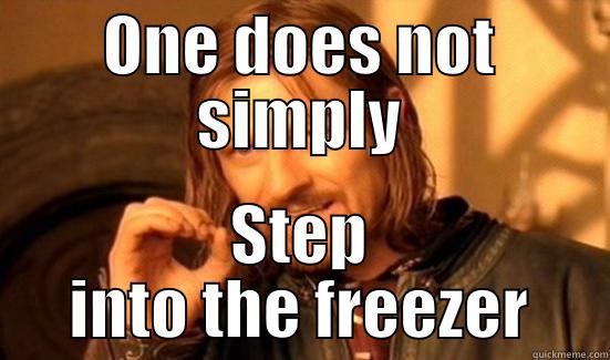 ONE DOES NOT SIMPLY STEP INTO THE FREEZER Boromir