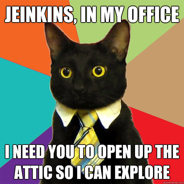 Jeinkins, In my office i need you to open up the attic so i can explore  Business Cat