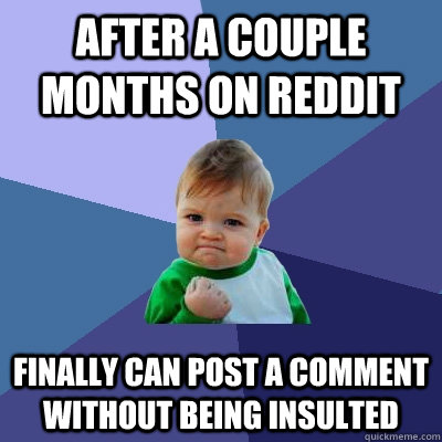 After a couple months on reddit  finally can post a comment without being insulted  - After a couple months on reddit  finally can post a comment without being insulted   Success Kid