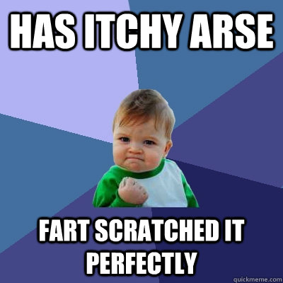 Has itchy arse Fart scratched it perfectly  Success Kid