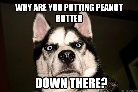 Why are you putting peanut butter Down there? - Why are you putting peanut butter Down there?  Disgusted Dog