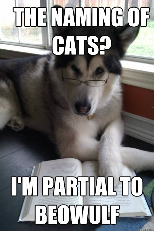 The naming of cats? I'm partial to beowulf  Condescending Literary Pun Dog