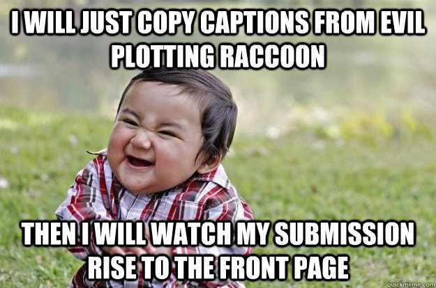 I will just copy captions from evil plotting raccoon then i will watch my submission rise to the front page  Evil Toddler