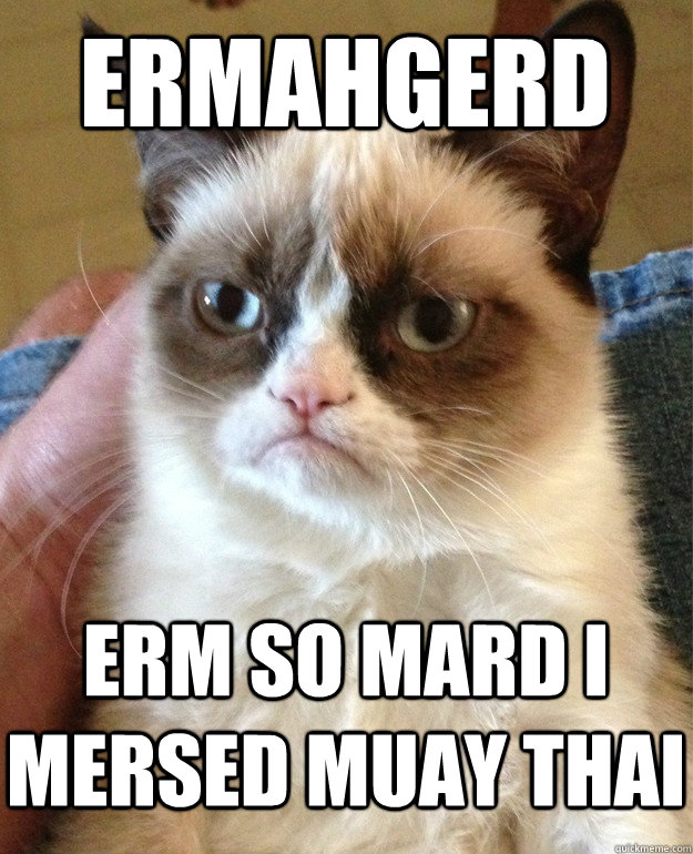 Ermahgerd erm so mard I mersed Muay Thai  Grumpy Cat