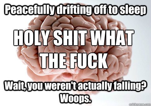 Peacefully drifting off to sleep Wait, you weren't actually falling? Woops. HOLY SHIT WHAT THE FUCK  Scumbag Brain