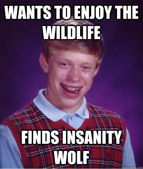 wants to enjoy the wildlife finds insanity wolf  Bad Luck Brian