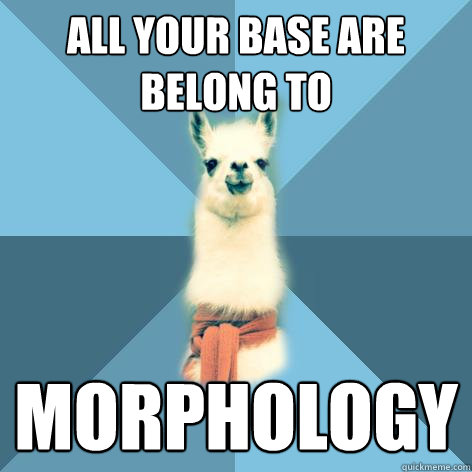 ALL YOUR BASE ARE BELONG TO MORPHOLOGY - ALL YOUR BASE ARE BELONG TO MORPHOLOGY  Linguist Llama
