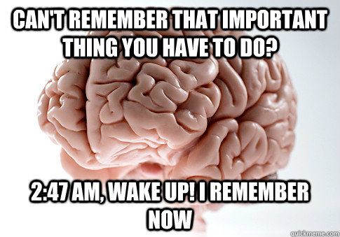 Can't remember that important thing you have to do? 2:47 Am, Wake up! I remember now  Scumbag Brain