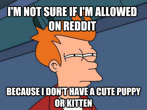 I'm not sure if I'm allowed on reddit because I don't have a cute puppy or kitten  - I'm not sure if I'm allowed on reddit because I don't have a cute puppy or kitten   Futurama Fry