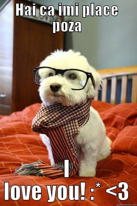 HAI CA IMI PLACE POZA I LOVE YOU! :* <3 Hipster Dog