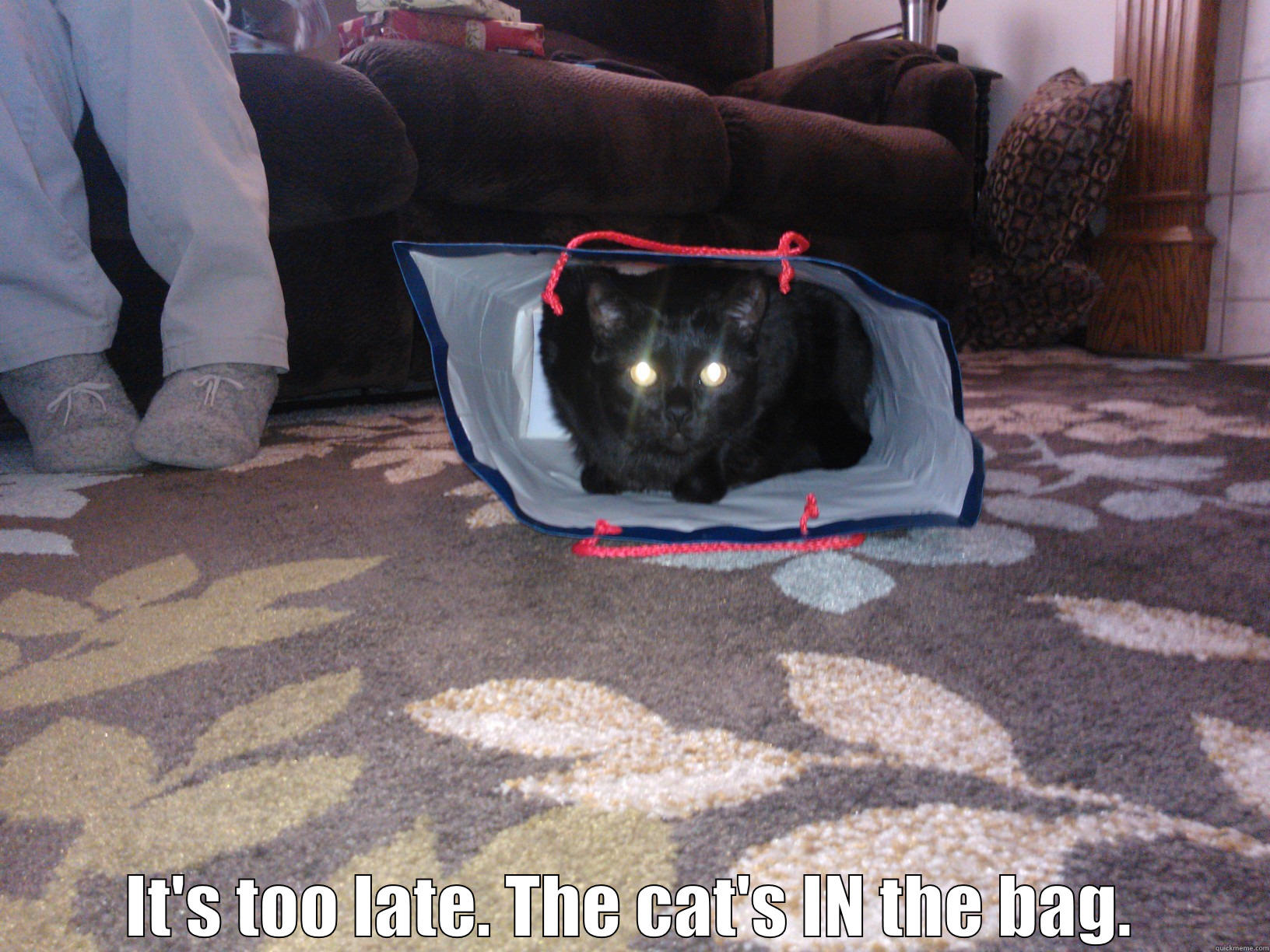 Cat in a bag! -  IT'S TOO LATE. THE CAT'S IN THE BAG. Misc