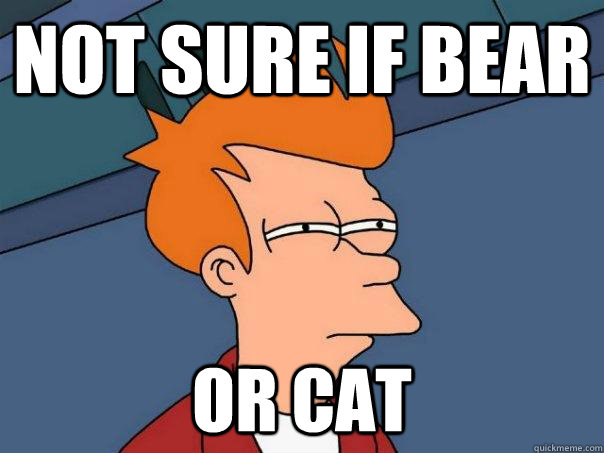 Not sure if bear or cat  Futurama Fry