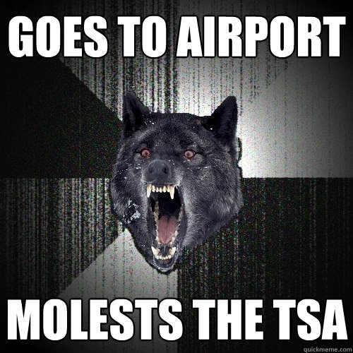 goes to airport molests the tsa  Insanity Wolf